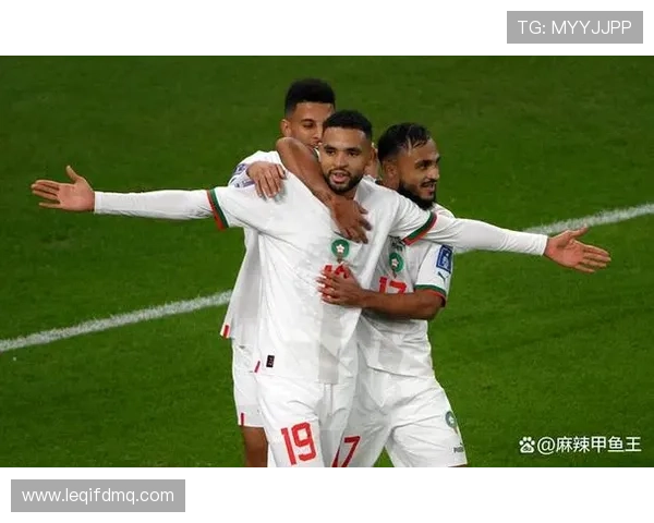 阿什拉夫长传精准技术